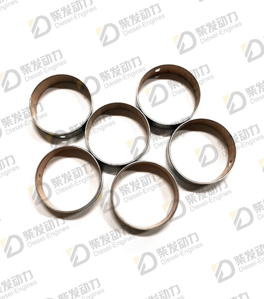 Bushing 20858674 